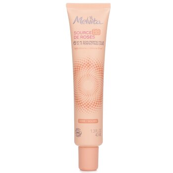 Melvita Source De Roses BB 6 in 1 Perfecting Care - # Golden